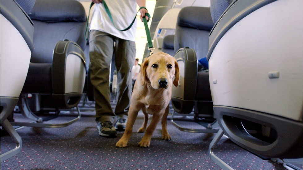 Southwest became the last major US airline to ban emotional support animals